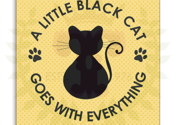 A Little Black Cat…Goes With Everything